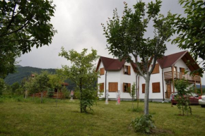 Отель Holiday house Casa Dejani  Деяни